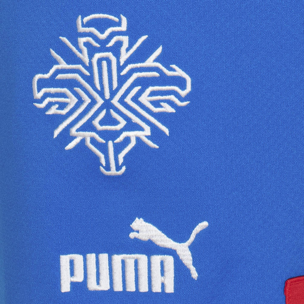 Island PUMA Herren Heim Shorts 766069-01