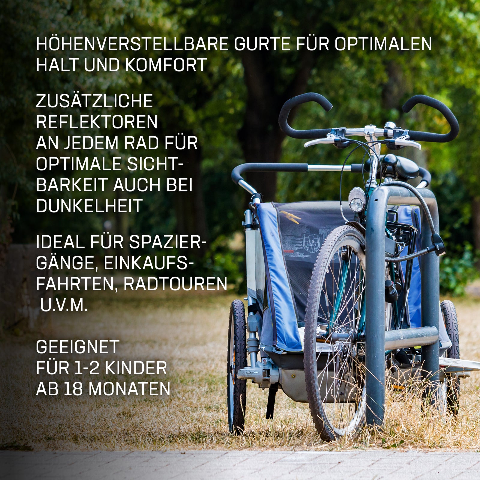 Øvre Eidfjord "Alpström" 2-in-1 Fahrradanhänger Kinderwagen blau