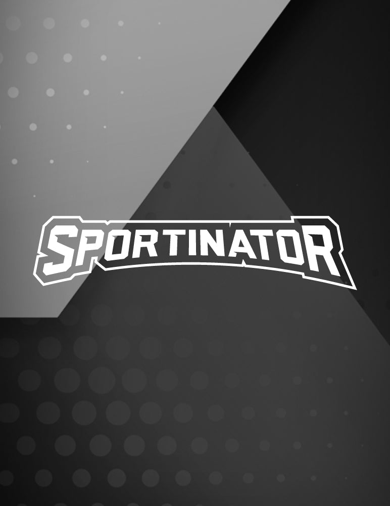 SPORTINATOR "Level Up" Massagepistole inkl. Zubehör grau